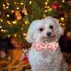 Halsbanden Elegante kleine staart Halsband met strik Kerstmis Gingerbread Man Halsband Boog Jongen Meisje Hond Vlinderdas Huisdier Cadeau Verstelbaar