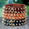 Halsbänder Smalllarge Hundehalsband Nietenleder Haustierhalsband Dobermann Windhund Französische Bulldogge Halsband Hundezubehör Halsband Perro