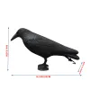 Sculptures Simulation Crow,Outdoor Hunting Fake Crow Raven Bird Hunting Decoy Deterrent Scarer Garden Pest Control Garden Scarer Bird Decoy