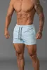 Shorts pour hommes 2024 Sports de loisirs d'été en plein air respirant course fitness pantalon à trois points