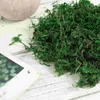 Decorative Flowers Fake Planta Preserved Moss For Crafts Decor Decorate Aftificial Dried Green