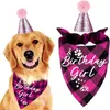 Dog Apparel Pet Birthday Party Set Hat Triangle Scarf Female Festival Decoration Props Cute Pink Harness