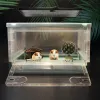 TERRARII PICCOLA ALIMENTAZIONE PICCOLA ANIMA ANIMA TRASPARENTRE REPTILE CRESSIONE TERRARIO TERRARIO DURANE SNAIL GECKO TARANTLUS LIZARDA LAVAGGIO CASA