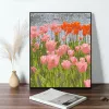 Number Tulip DIY Painting by Numbers Digital Oil Painting Hand Painted Canvas Painting Home Decor Canvas Drawing Paint Number Package