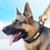 Sets Leder-Hundehalsband, personalisiertes ID-Tag-Halsband für mittelgroße und große Hunde, Haustier-Walking-Training, Schnellkontroll-Halskette mit Griff