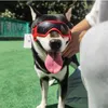 Vêtements de chien Cool Lunettes de soleil pour animaux de compagnie pour chiens Mascotas Accessoires de toilettage Cyclisme en plein air Chiot Moyen Lunettes Schnauzer Lunettes