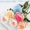 6pc fuktgivande Austin Rose Wedding Decor Roses Real Touch Artificial Flowers Party Home Decoration Fake Flowers Bridal Bouquet 240322