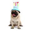 Vêtements pour chiens 2024 Accessoires d'anniversaire Chapeau pour animaux de compagnie Gâteau Personnalité Fourniture