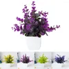 Dekorativa blommor Flowerpot Artificial Bonsai Shops Table Decoration Trädgårdskontor Arrangemang sovrumsgårdar Familjer Flower Potted