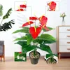 Fleurs décoratives 18 têtes Anthurium artificiel rouge vert plantes en plastique maison jardin salon chambre décoration faux décor