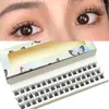 False Eyelashes 3D Fluffy Single Cluster Lashes Premade Volume Fans Individual Eyelash Segmented Natural Fake Extension