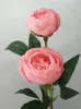 Fiori decorativi 4 teste di seta rosa europea Decorazione fai -da -te per matrimoni peonia