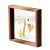 Çerçeve ahşap resim fotoğraf çerçeveleri tablo ekran çift tarafı preslenmiş çiçek çerçeveleri bitki örneği herbaryum klips çift cam çerçeve