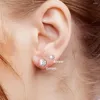 Orecchini a lobo 1-5 paia Ipoallergenico 316L Bianco Cubic Zirconia Acciaio inossidabile CZ Set a vite 3-7mm Tono nero