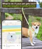 고양이 GPS GPS GPS 추적기 GPS 애완 동물 고리 방수 방수 앱 스마트 키 파인더 애완 동물 어린이 개를위한 에어 태그 GPS 추적기 포지셔닝