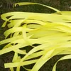 Party Decoration EST 50st/Lot Yellow Wedding Ribbon Sticks With Gold Bell för