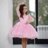 Sparkly Pink Girls Christmas Party Dresses Glitter Sequin Long Sleeves Aline Flower Girl Dress Blue Short Pageant Prom Gowns 240312