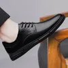 Freizeitschuhe 2024 Herren Kleid Leder Slip On Echte Schnürung Oxford Business Männliche Schuhe Spitzschuh