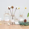 花瓶透明なガラスの花の花瓶の装飾現代の水耕栽培ドライフラワーホーム装飾用のリビングルームアクセサリーのための装飾品