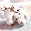 Dekorativa blommor Handgjorda heminredning Fake Flower Dried Cotton Artificial Plants Floral Branch Stam