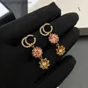 Charm Exquisite Fashion Earrings Charm Women Jewelry Earring Premium Accessories Couple Gift Luxury High end Size 14x32cm Selected Quality Never Fade A1163 Y24032
