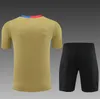 24 25 SURVÊTEMENT de football de Barcelone barca football hommes et enfants SET garçons adultes LEWANDOWSKI PEDRI TRAINING SUIT 2024 2025 tenue de survêtements d'entraînement à manches courtes