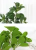 Single Stem Peppermint Leaf Branches Simulation Green Peppermint Tree Stems Green Wall Decorative Artificial Green Plant 11 LL