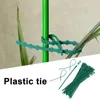 Plant Climbing Pole Coir Totem Plant Support Moss Palm Vines Coco Sticks For Climbing House Indoor Potted Plants Creeper Grow 240322