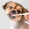 Köpek Giyim Evcil Hayvanları: 4pcs- Köpek Köpekleri için Temizleme Fırça Bakım Malzemeleri Kediler