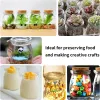 Jars 10Pcs 100/200ML Glass Pudding Jars Yogurt Jars with Cork Lids Glass Containers with Tags and Ropes for Family party Diy Honey