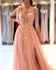 Pink Evening Dresses 2024 New Sexy Backless Sheer Spaghetti Straps A Line Tulle Prom Party Gowns Bridesmaidsd Women Occasion Vestidos BC10147