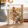Frames Dried Flower Po Frame Memory Pos Display Shelves Specimen Displaying Stand