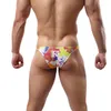 Sous-vêtements hommes sexy sous-vêtements hommes slips poche bombée gay sissy culotte taille basse bikini exotique jockstrap