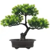 Dekorativa blommor välkomna tallblomma krukväxter växt hem bonsai dekor falska gäst-hjärna realistiska