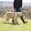 Correas Correa reflectante para dos perros grandes 1 correa para 2 perros Cuerda de tracción para perros doble grande Correa para perros con mango de espuma suave y dispensador de bolsas para excrementos