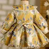 Baby Girl Princess Lace Tutu Dress Spädbarn Småbarn Långärmad Vestido Bow Pearl Flower Print Frocks Birthday Party Ball Gown17y 240318