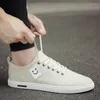 Scarpe casual 2024 Estate da uomo edizione coreana Tela trendy Lino versatile per la moda