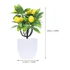 Decorative Flowers 2 Pcs Artificial Green Plants Decor For Kitchen Home Bonsai Tree Faux Small Mini Plastic Fake Office