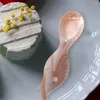 Spoons Shell Spoon Kitchen Exquisite Dessert Natural Decorative Tableware Restaurant Home Soup Cake Compact