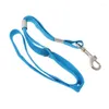 Dog Apparel Pet Leash Nylon Cat Grooming Loop Cable Rope Leashes For Beauty Bathing