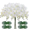 Artificial Orchid Bulk Real Touch Large Latex Orchid Fake Phalaenopsis Flower Home Wedding Decoration 240322