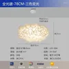 Plafondlampen Volledig spectrum Oogbescherming Kroonluchter Gezellig en romantisch Scandinavisch Ins Meisje Eetkamerlamp Bloemblaadjes Slaapkamer Ligh