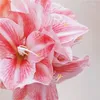 Decorative Flowers High Quality Single Branch Simulation Clivia Handmade Flower Balcony Decorations Christmas Supplies Artificial Decoration