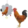Autres fournitures d'oiseaux Fournitures de poulet Miroir suspendu avec perroquet picorant pour Coop Pet Macaw Perakeet Drop