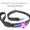 Dog Collar Pet LED -hängande säkerhet blinkande glödljus som blinkar krage för