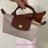 Bron Hoge Franse Mini Dumpling Bag Handheld Korte handgreep Mobiele telefoon Zero Wallet Crossbody