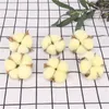 Decorative Flowers Cotton Head Artificial Flower Natural Dried Home Christmas Decor DIY Garland Wreath Wall Material Fleur Bloemen