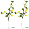 Decoratieve Bloemen 2 Stuks Tak Simulatie Fruitvaas Innerlijke Ornament Voor Thuis