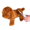 Köpek giyim evcil hayvan tımar makası seti 7 inç profesyonel kedi kuaförlük saç kesme göz kamaştırıcı renk