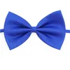 Hundekleidung 50/100pcs Bögen Mix Farben Großhandel Pet Pet Wlowing Accessoires Katzenfliege Verstellbare Bowtie -Produkte